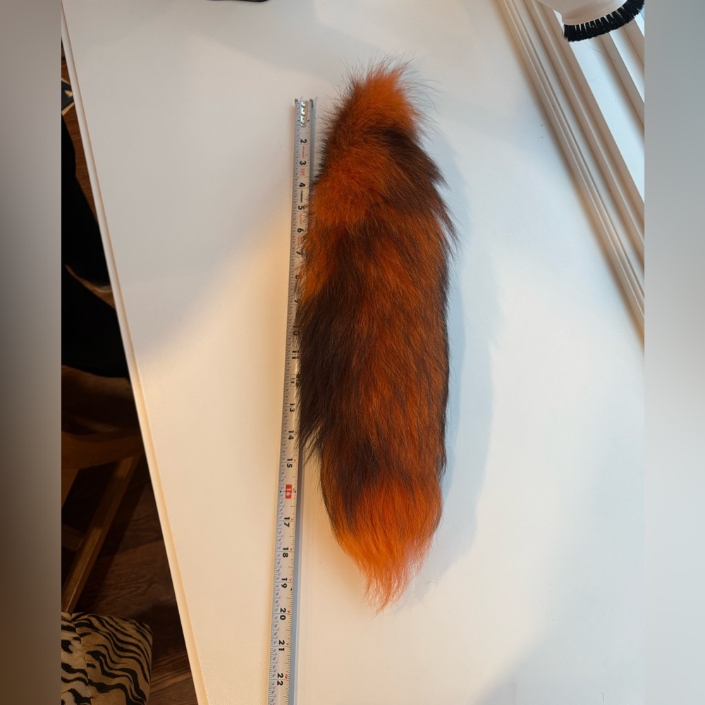Fox Tail - Picture 3 of 5